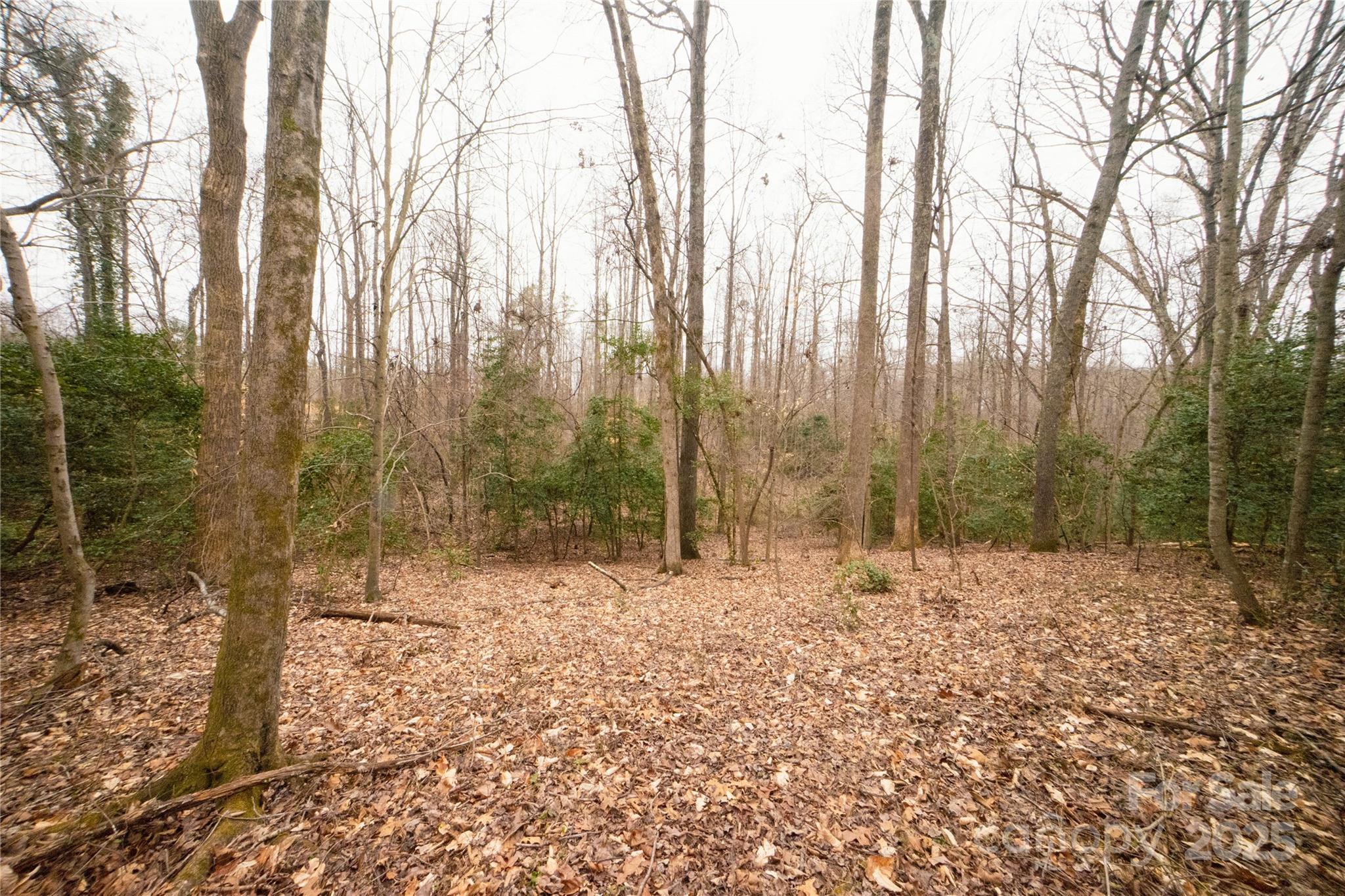 Photo #20