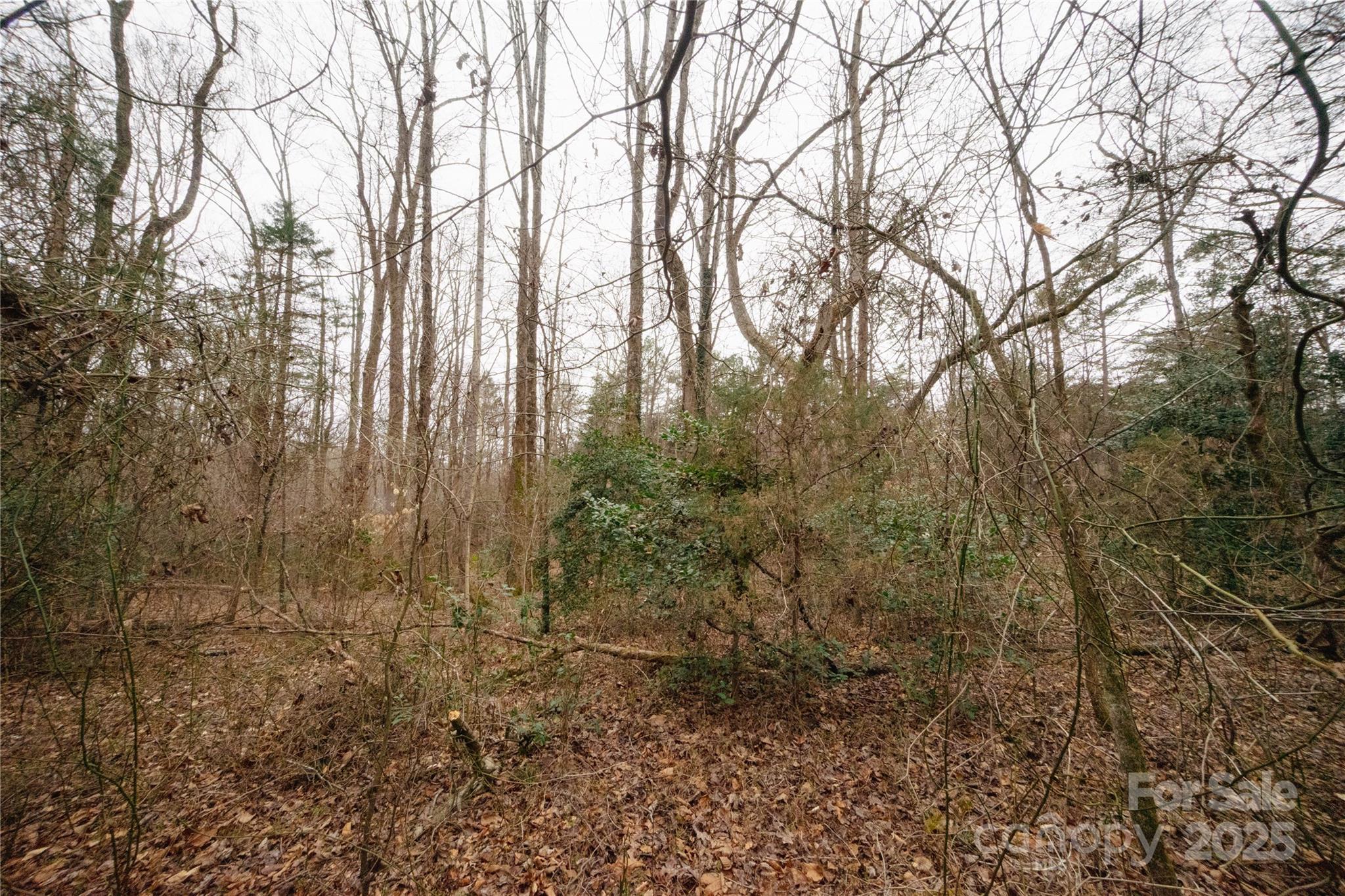 Photo #13