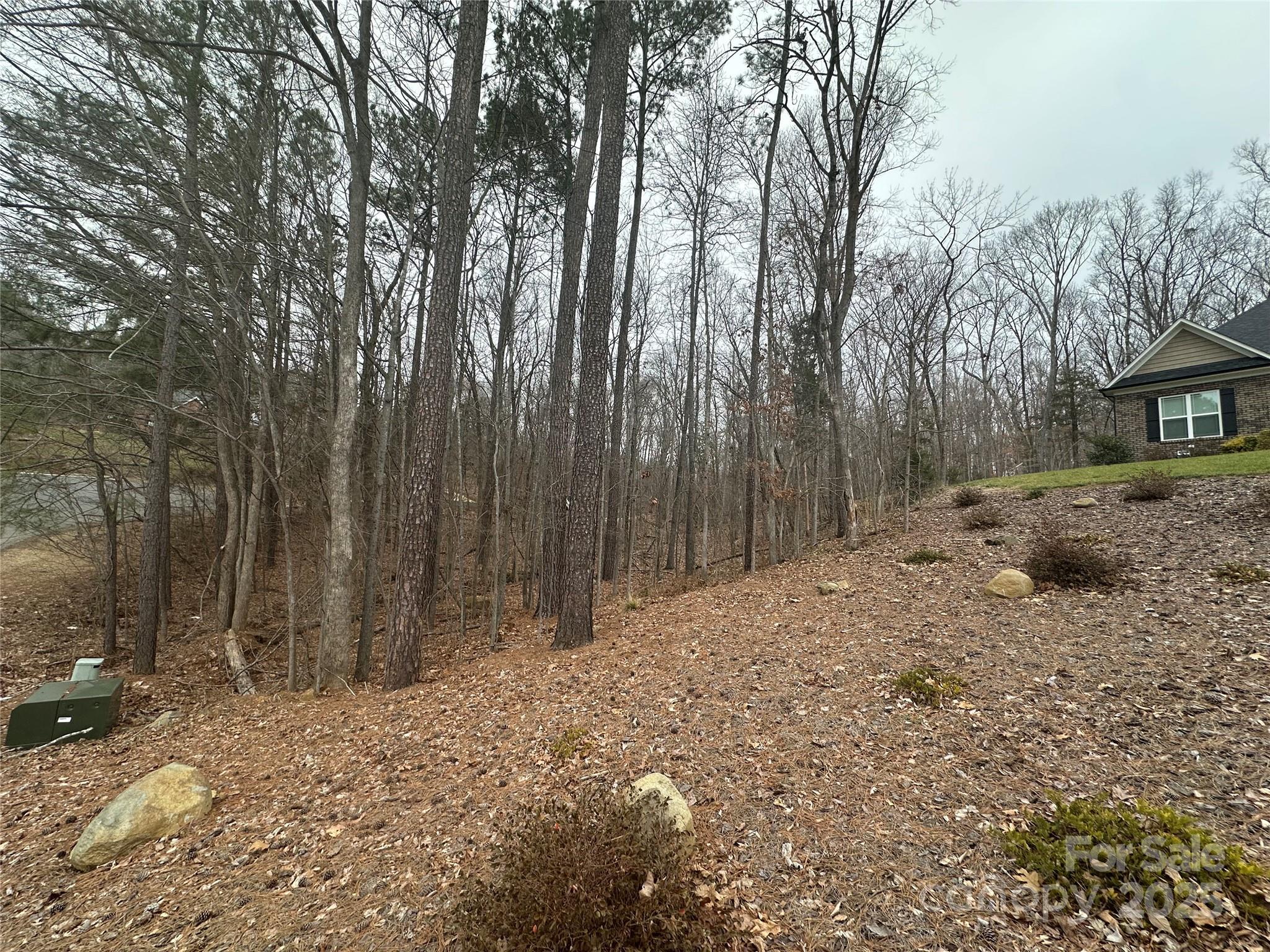 Photo #21
