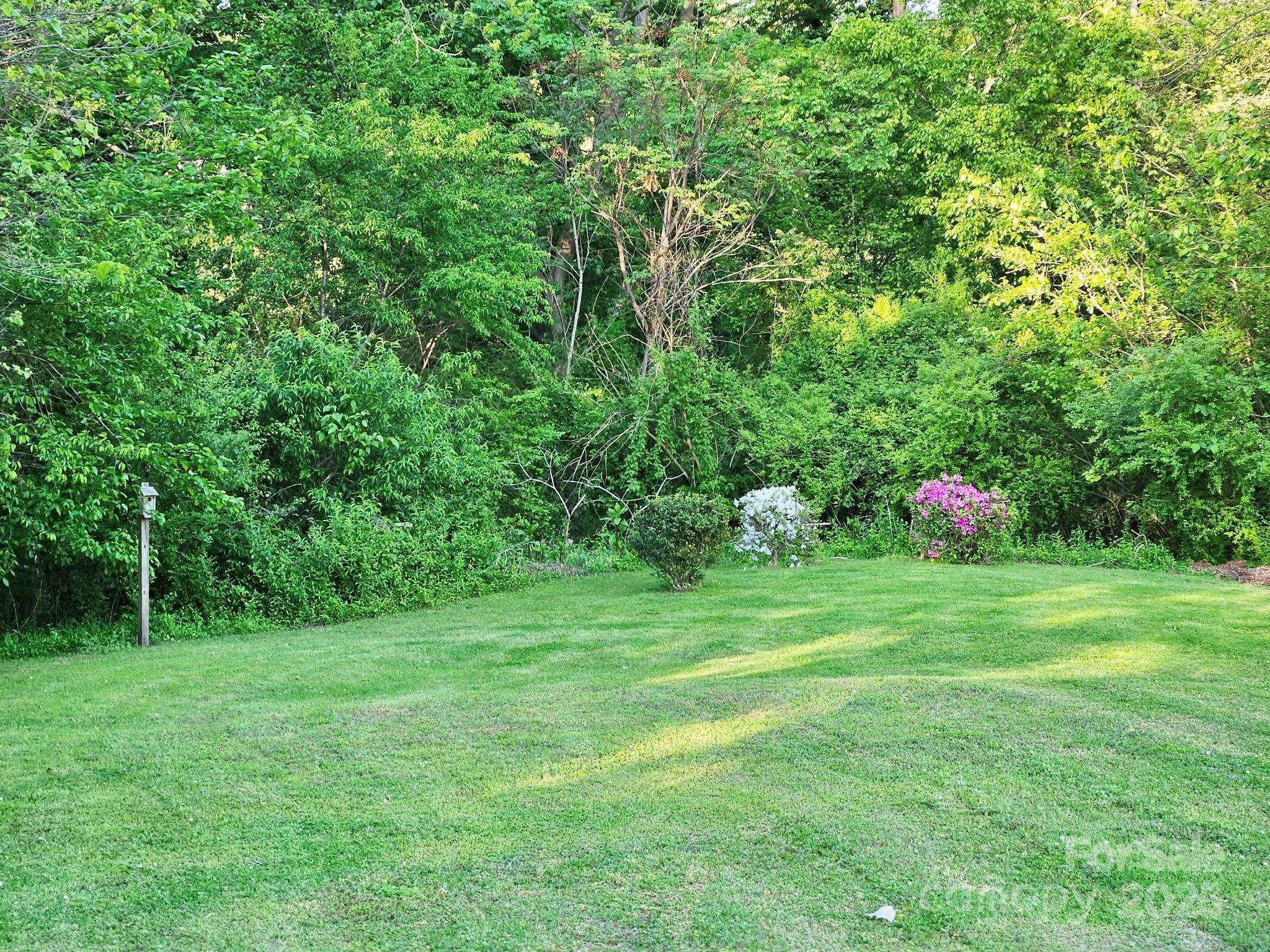 Photo #38