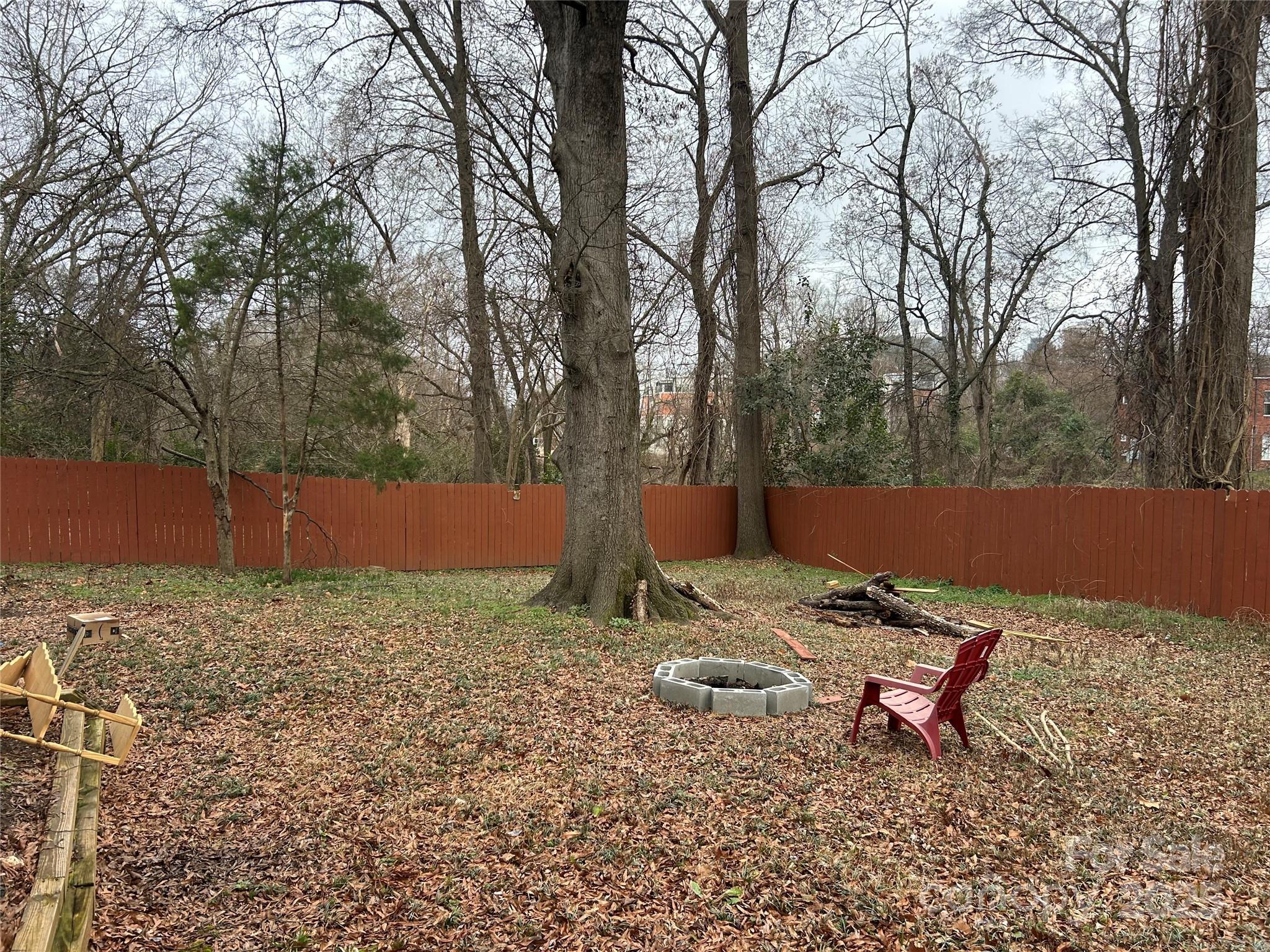 Photo #13