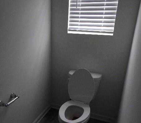 Photo #5
