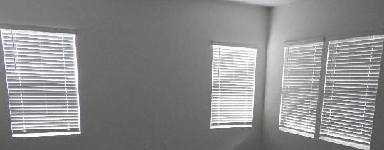 Photo #6