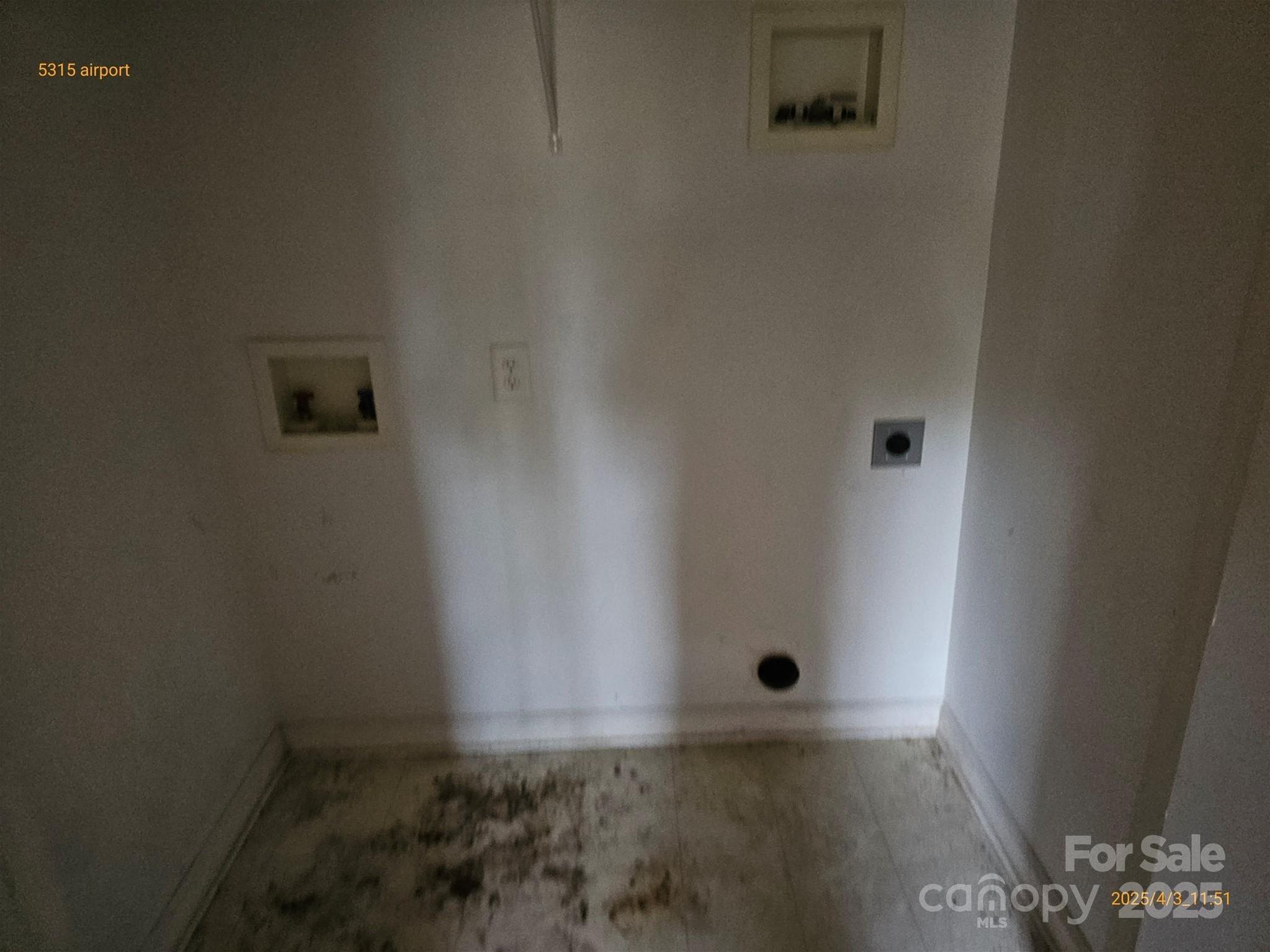 Photo #12