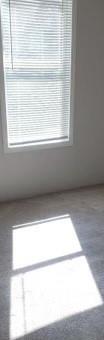 Photo #3