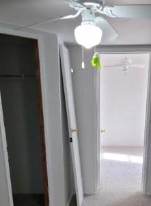 Photo #6