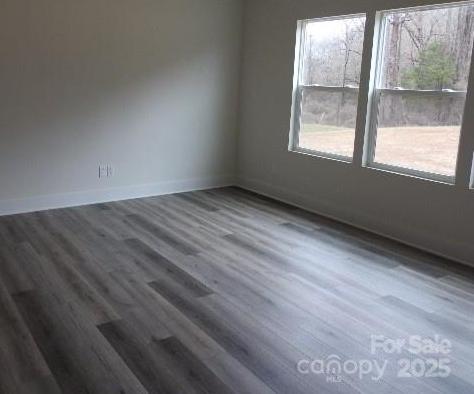 Photo #4