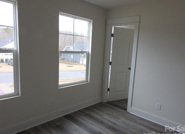 Photo #14