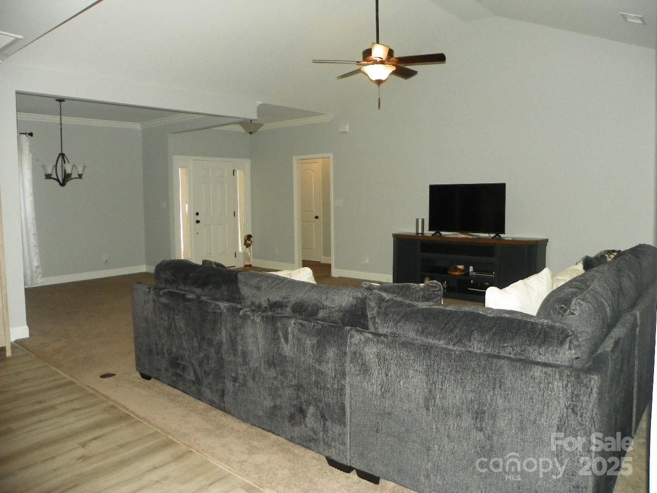 Photo #6