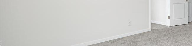 Photo #10