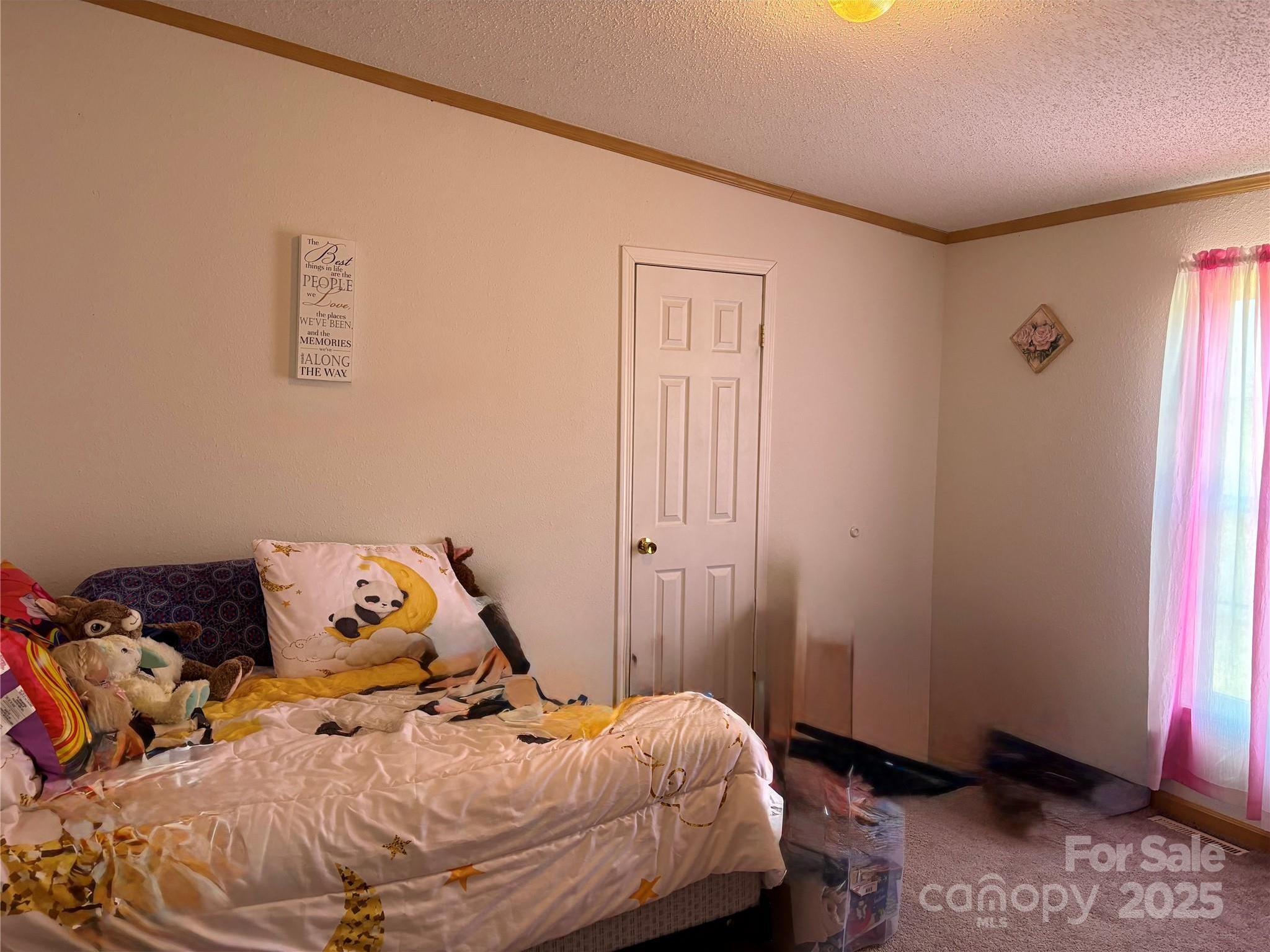 Photo #15