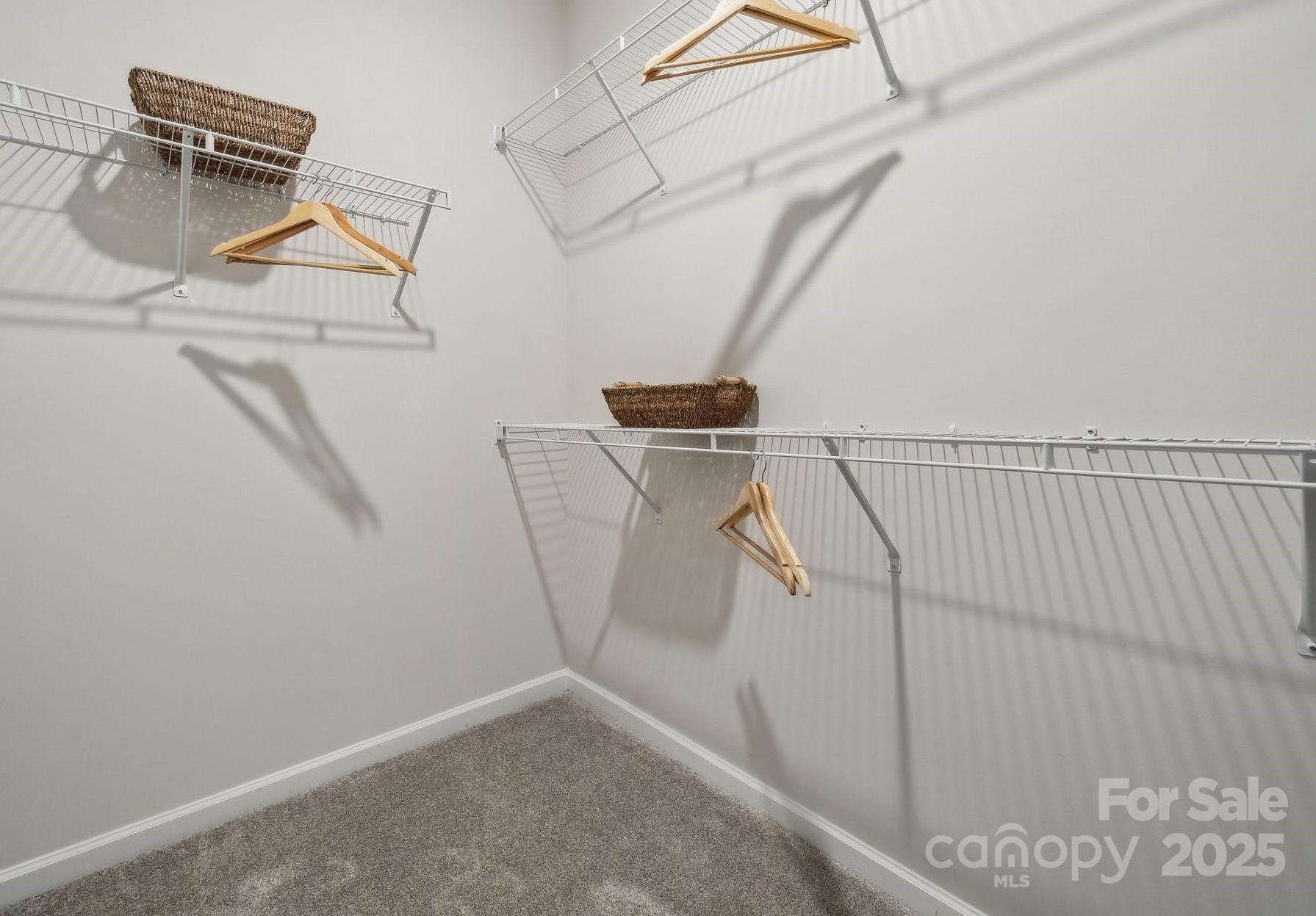 Photo #22