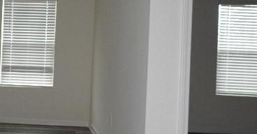 Photo #10