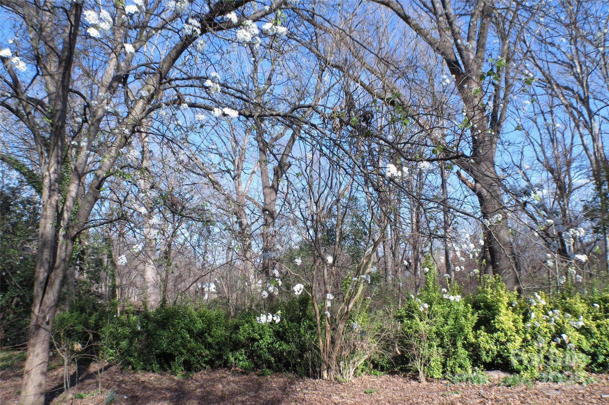 Photo #45