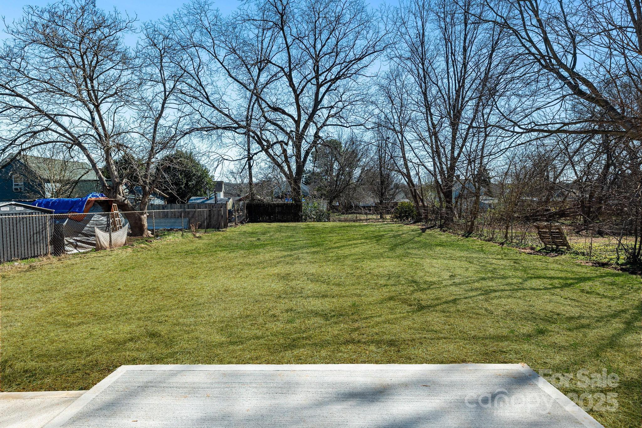Photo #7