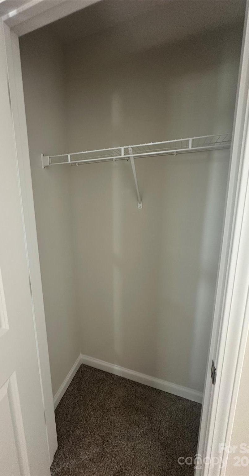 Photo #21