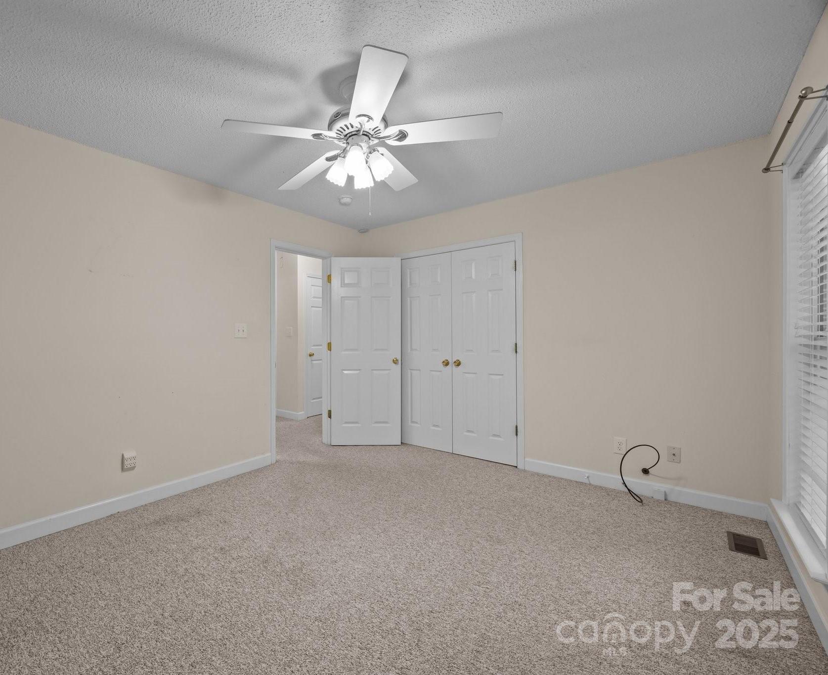 Photo #15