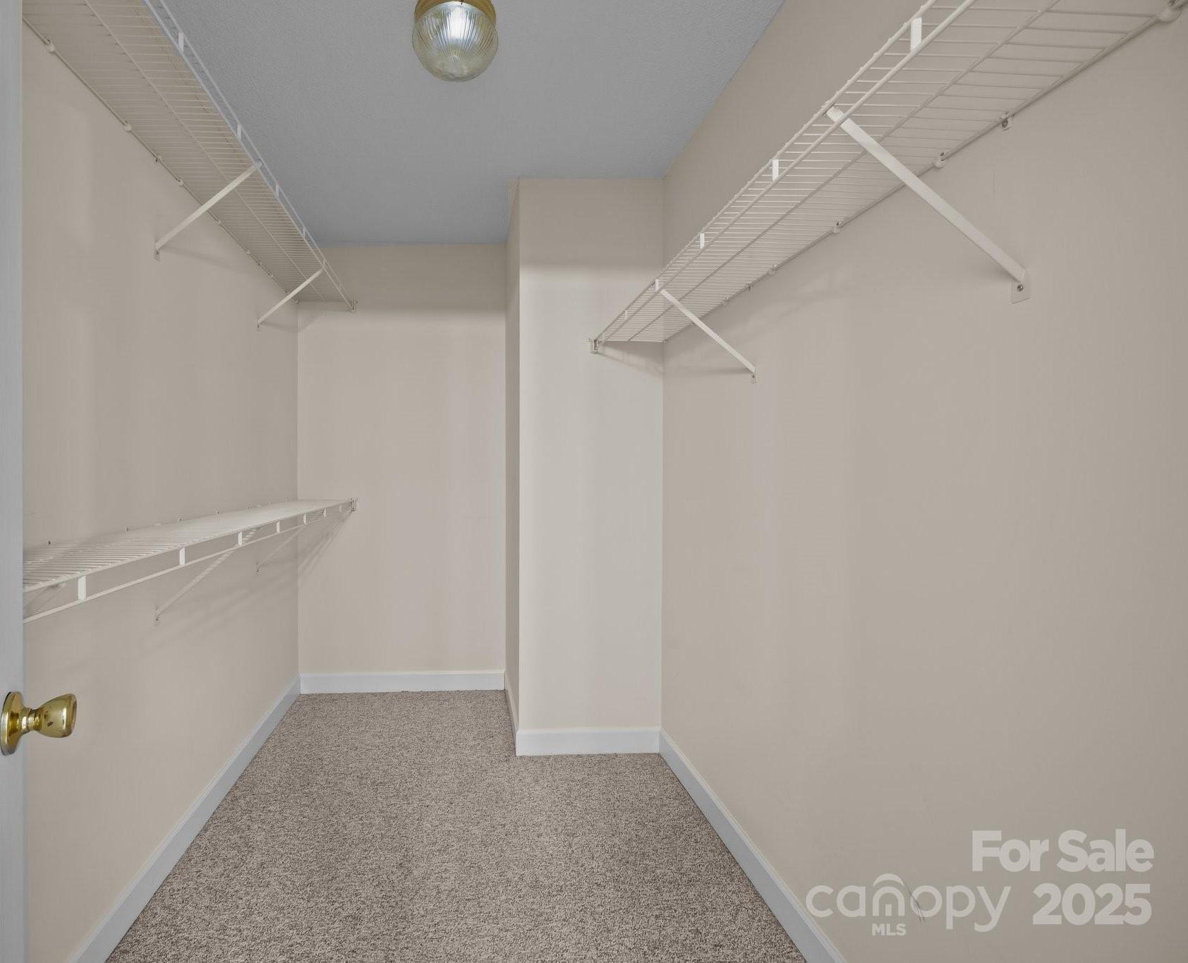 Photo #19