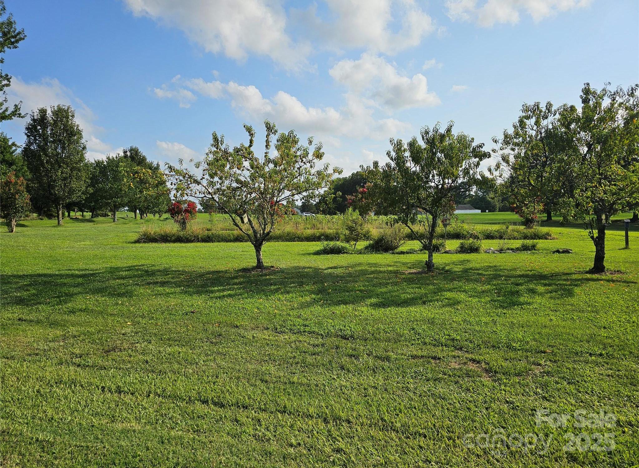 Photo #28