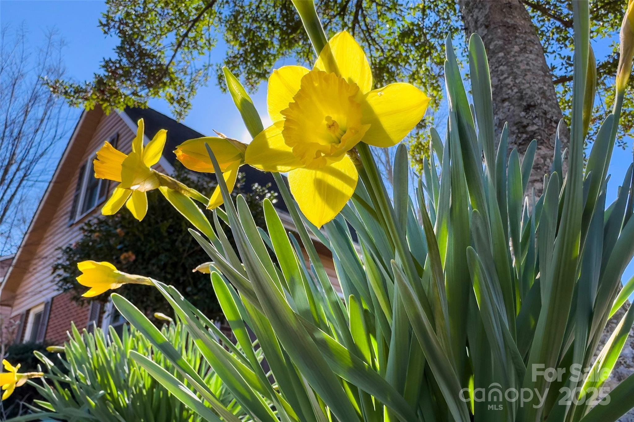 Photo #41