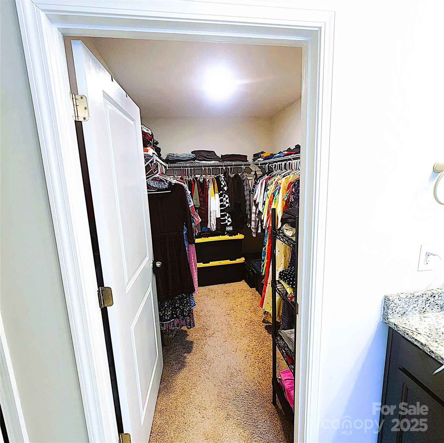 Photo #26