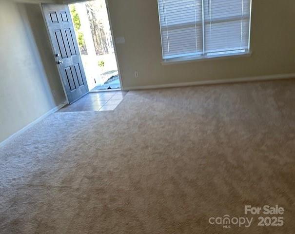 Photo #2