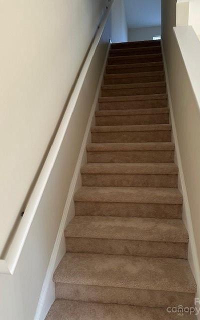 Photo #16