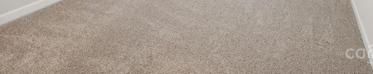 Photo #12