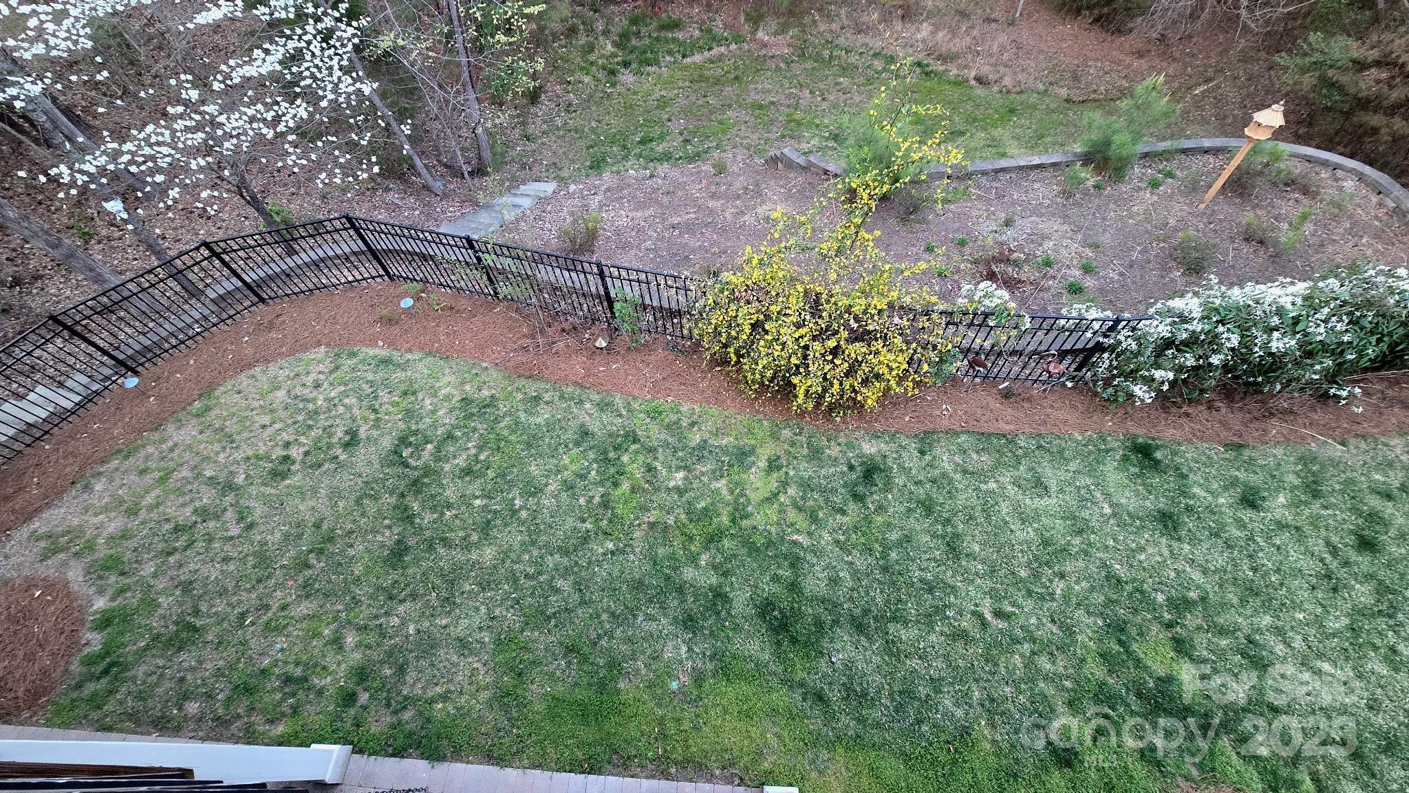 Photo #31
