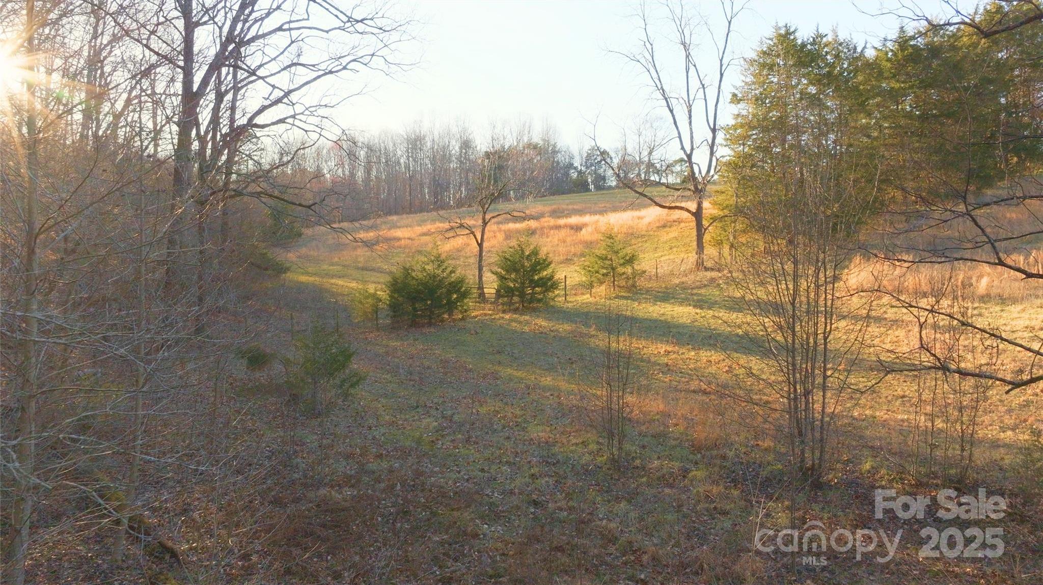 Photo #32