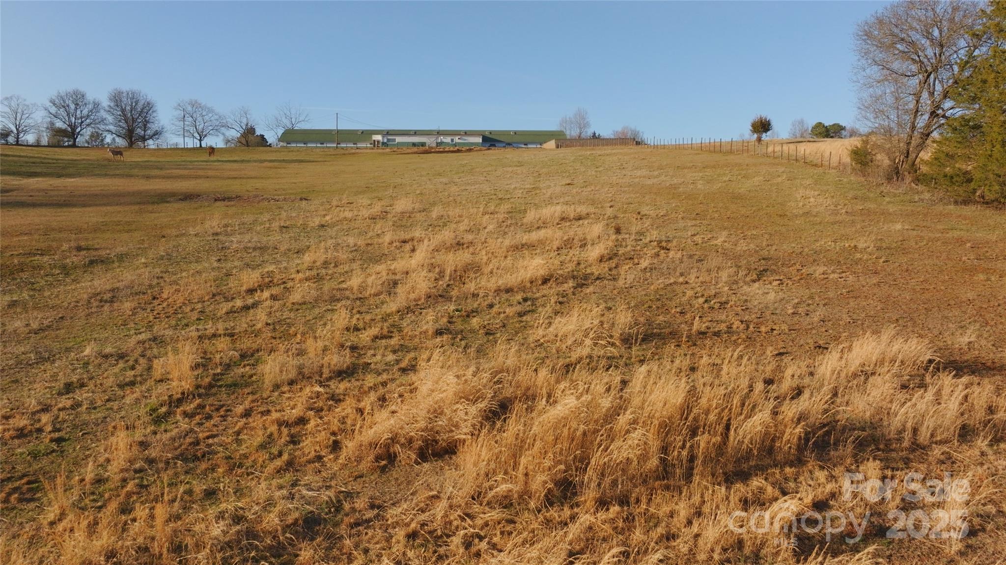 Photo #36