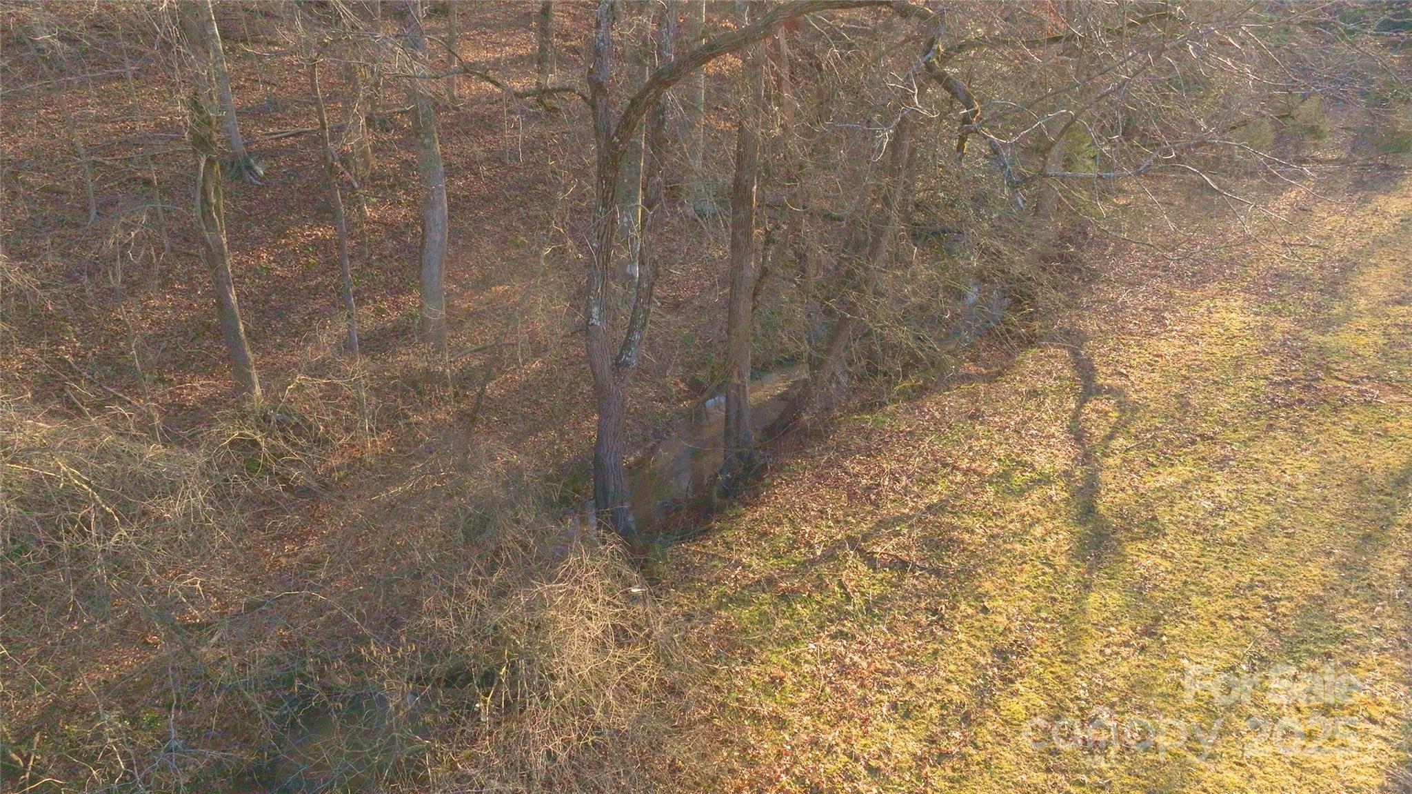 Photo #38