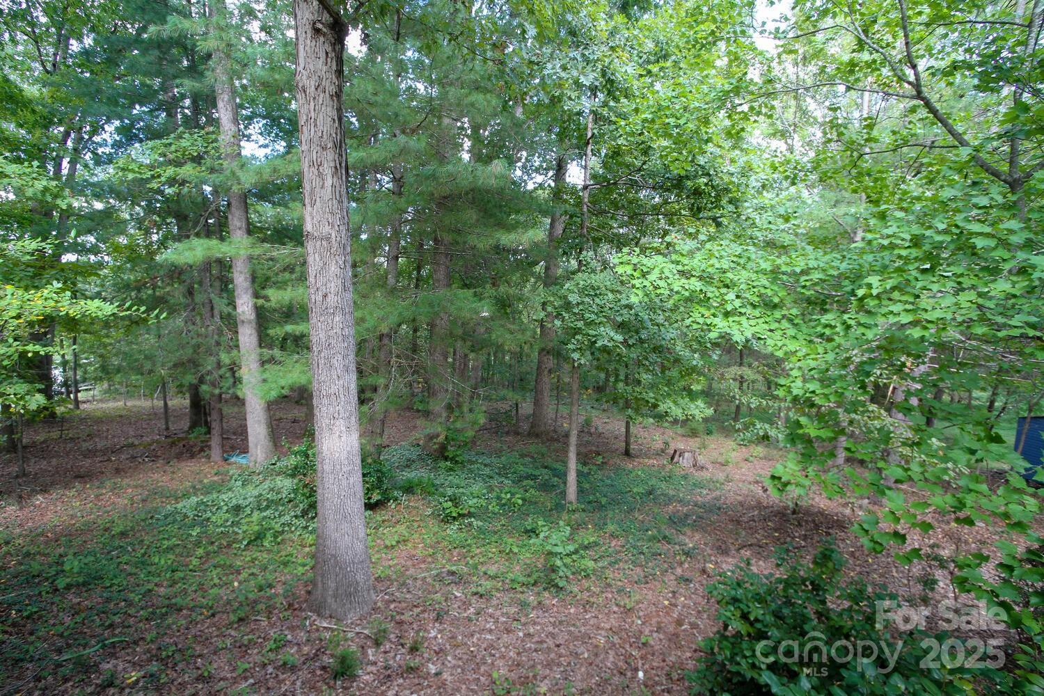 Photo #46