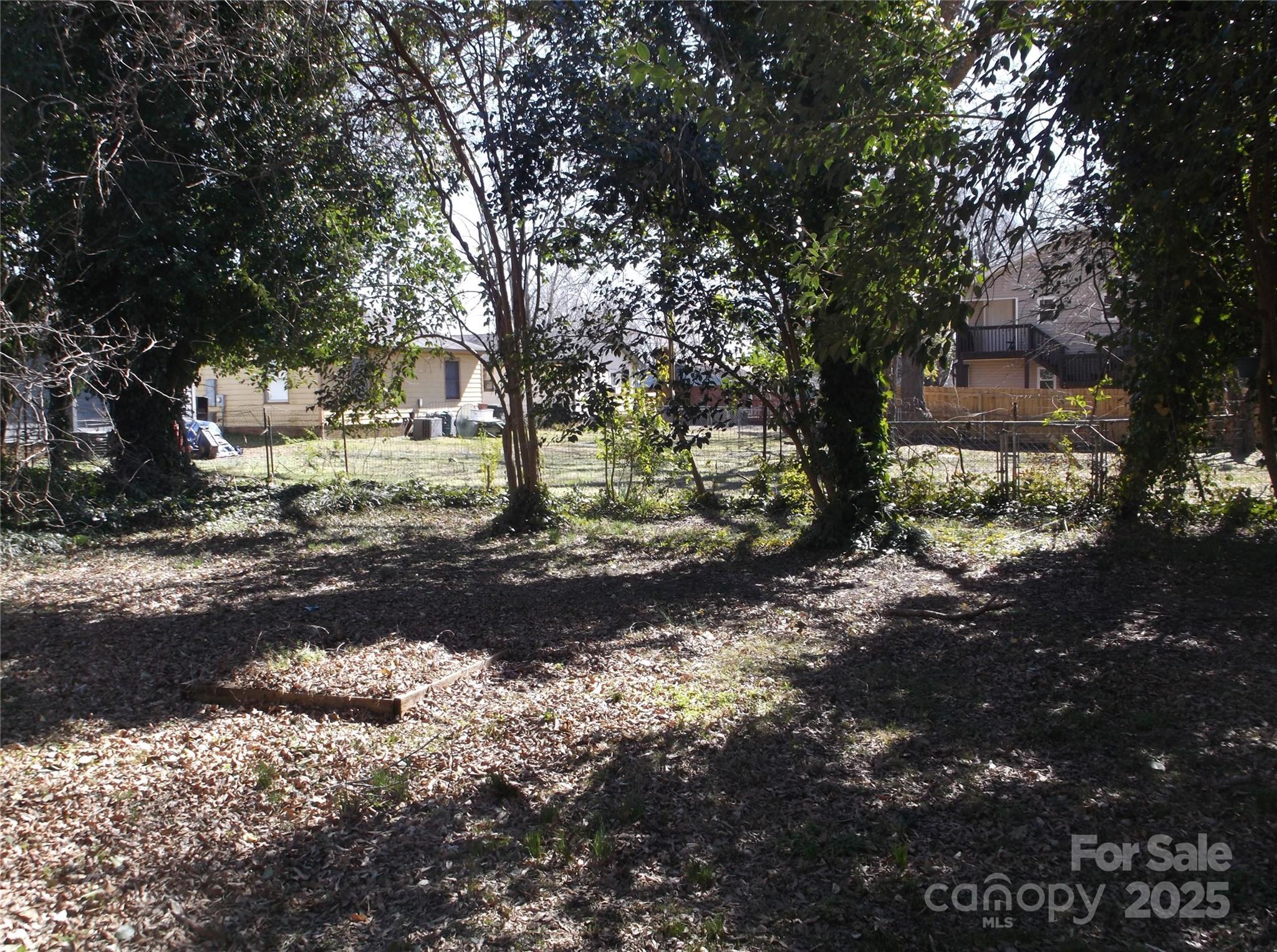Photo #6