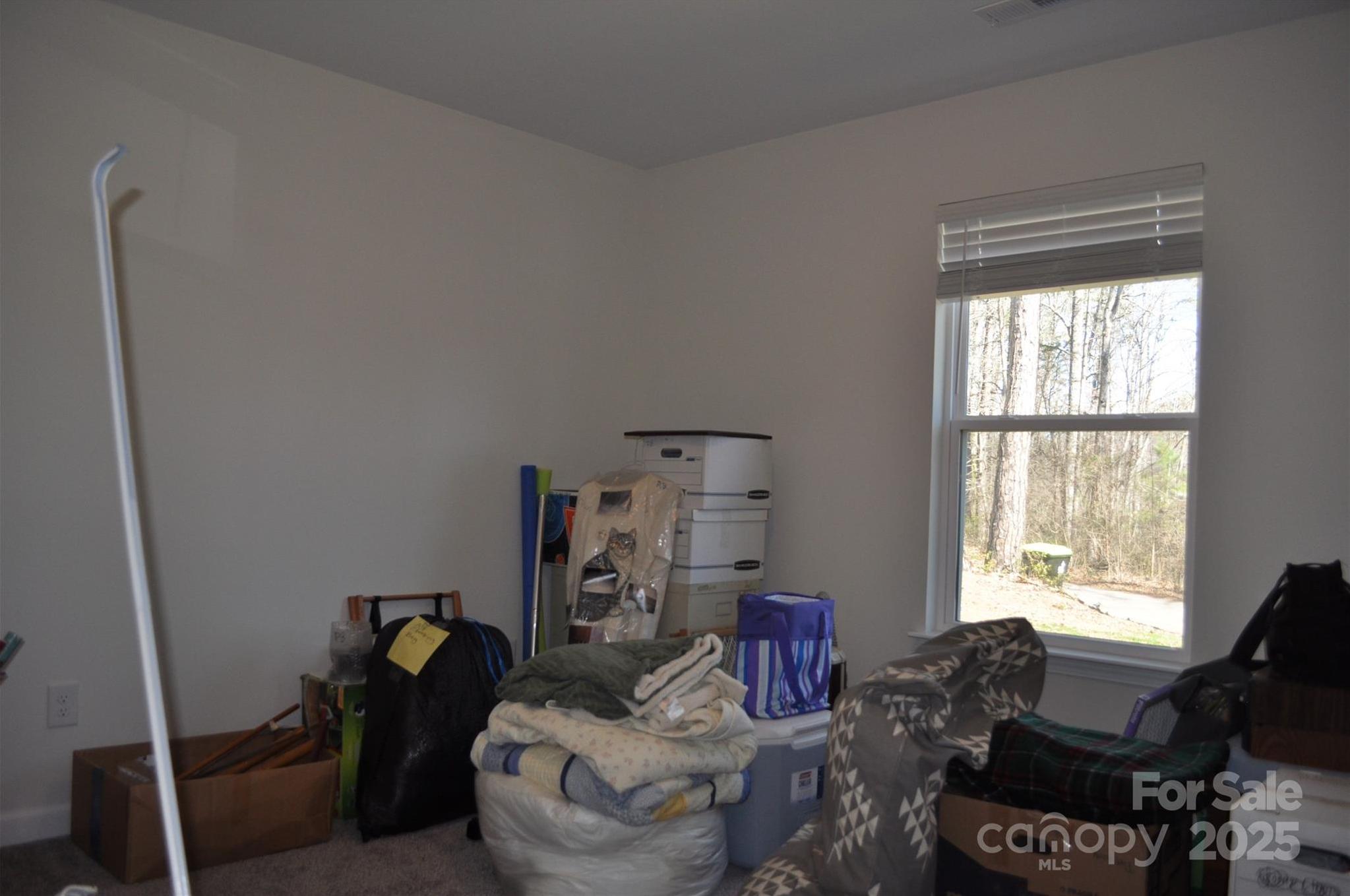 Photo #18