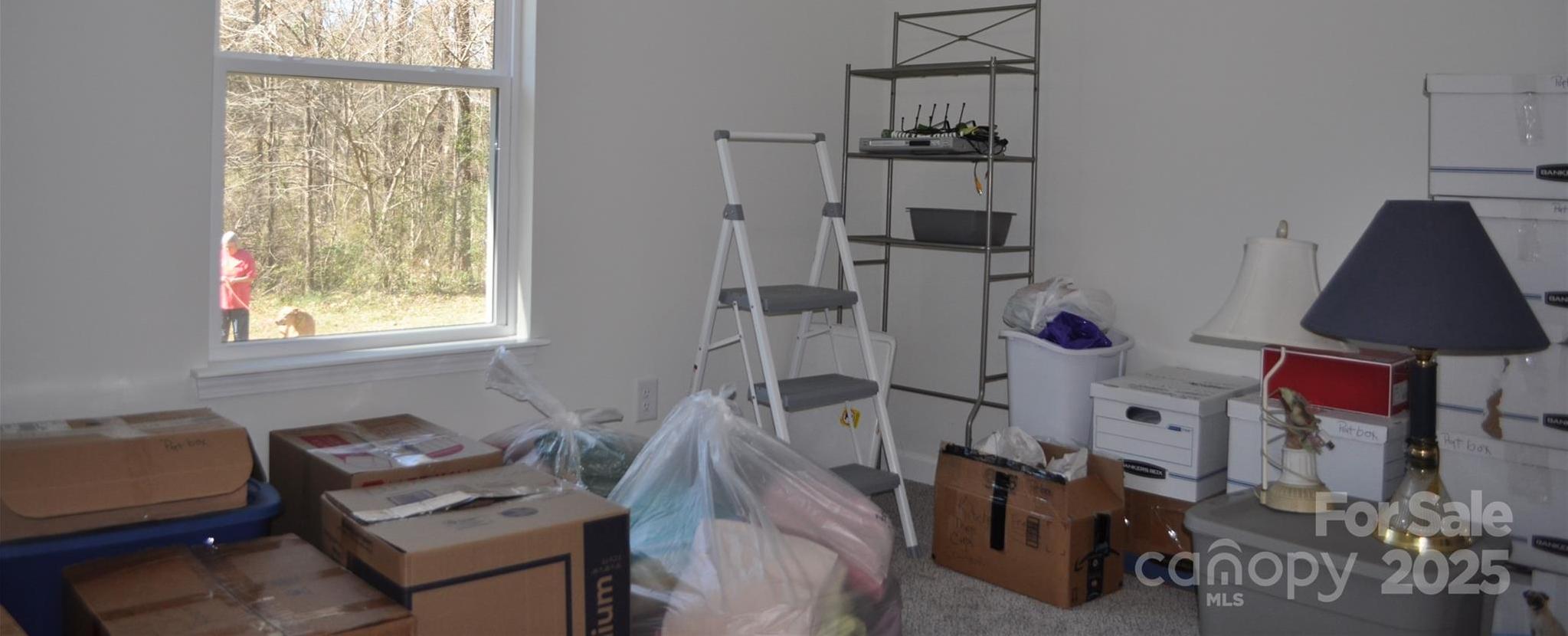 Photo #14