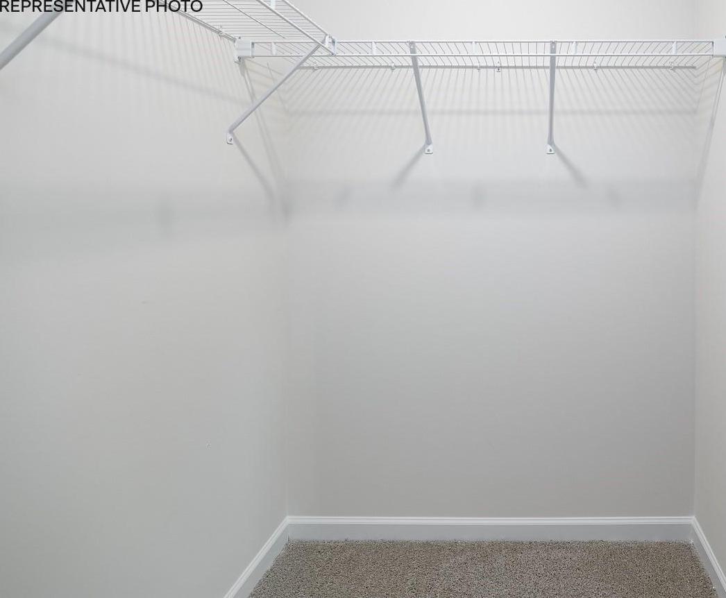 Photo #14