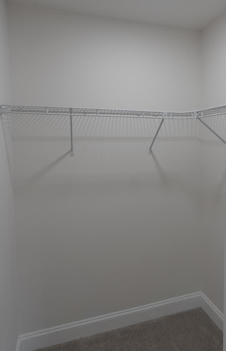 Photo #33