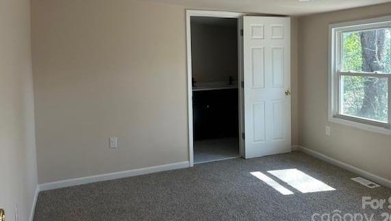 Photo #13