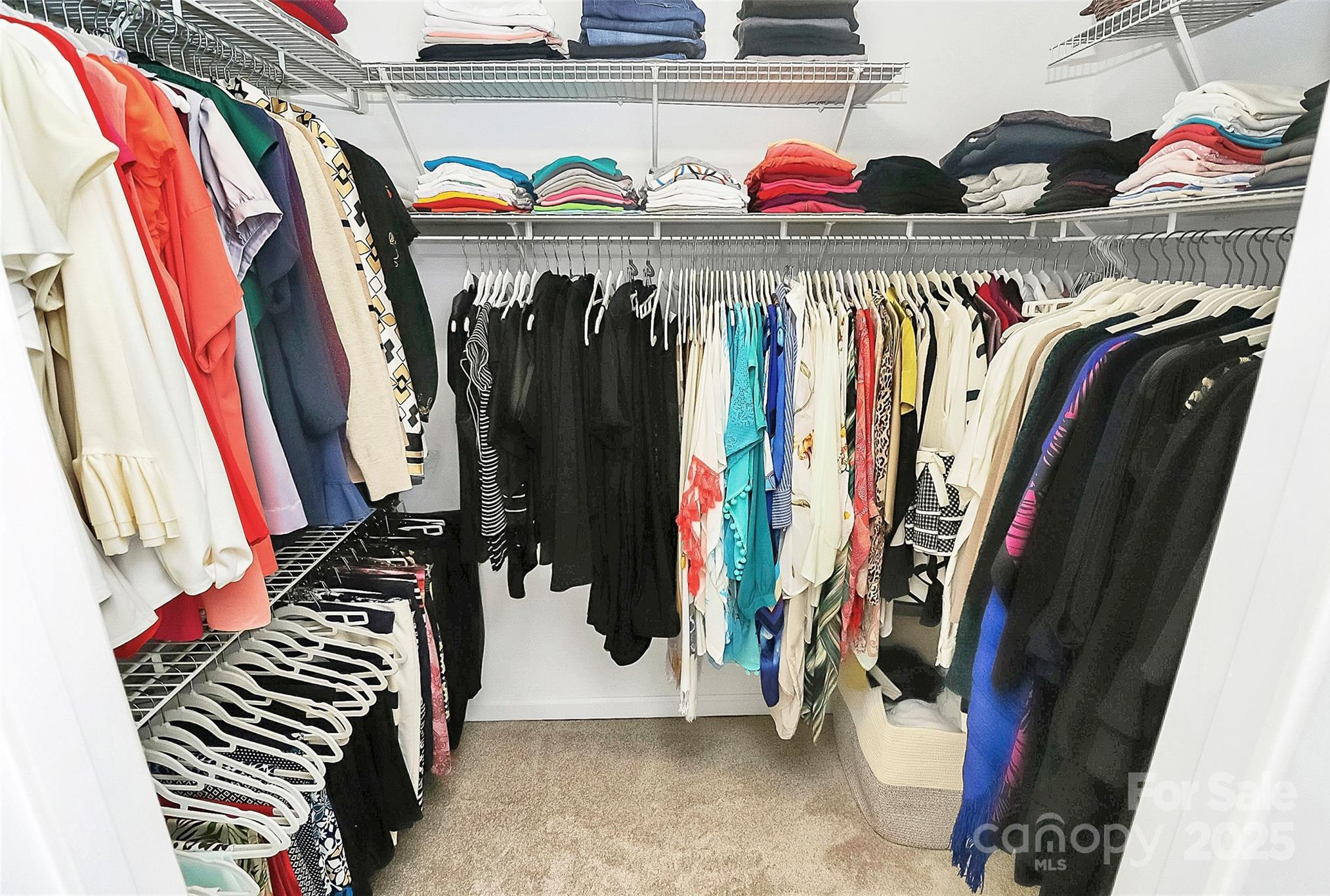 Photo #29