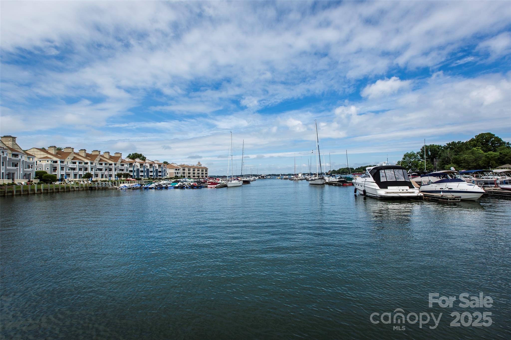 Photo #40