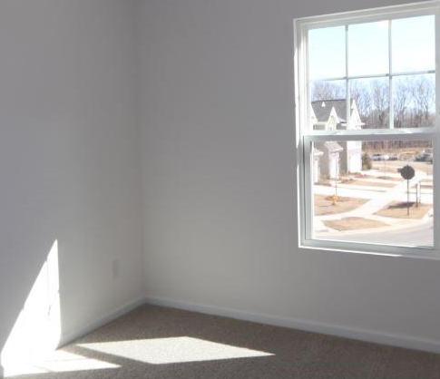 Photo #5