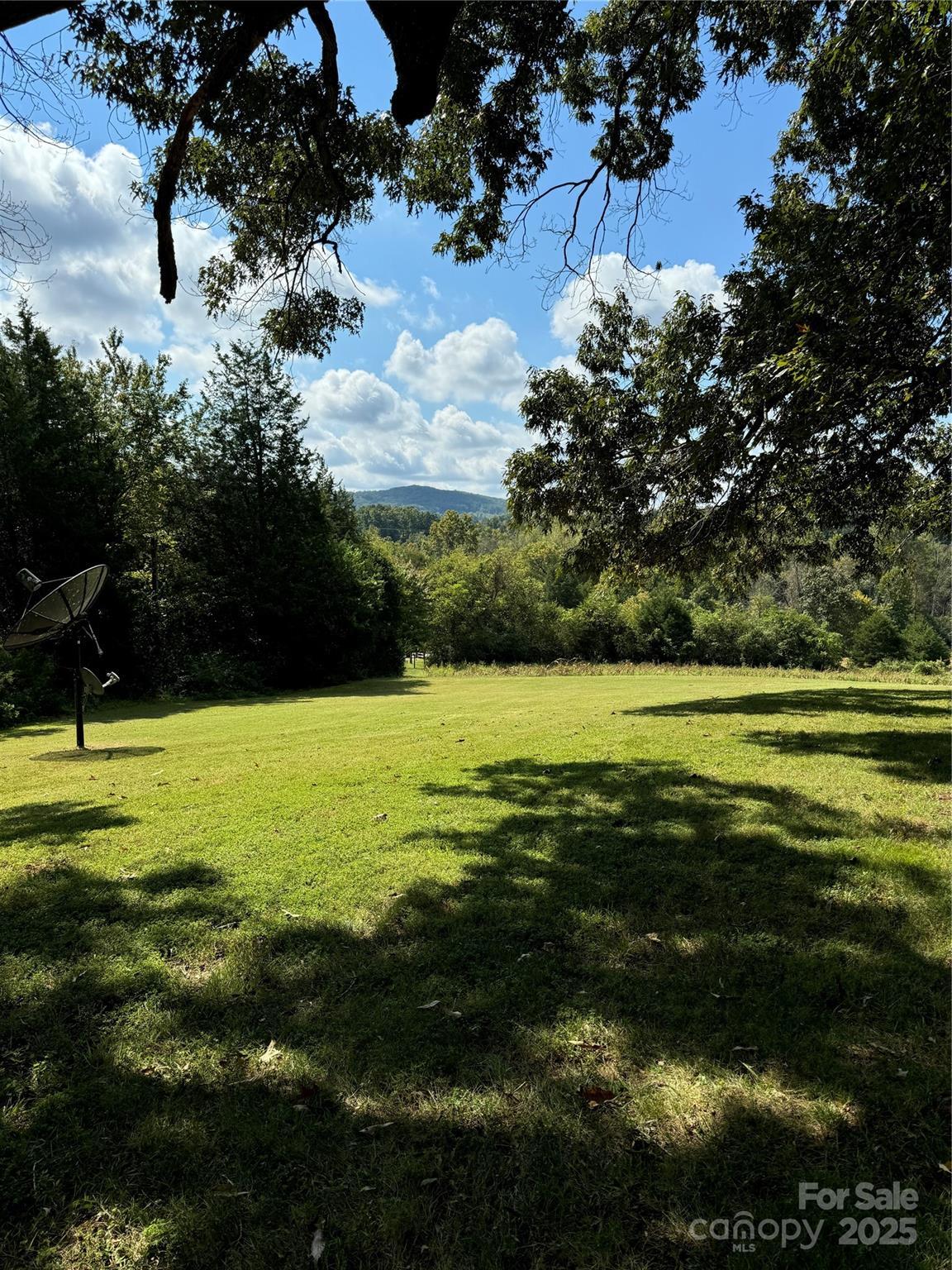 Photo #35