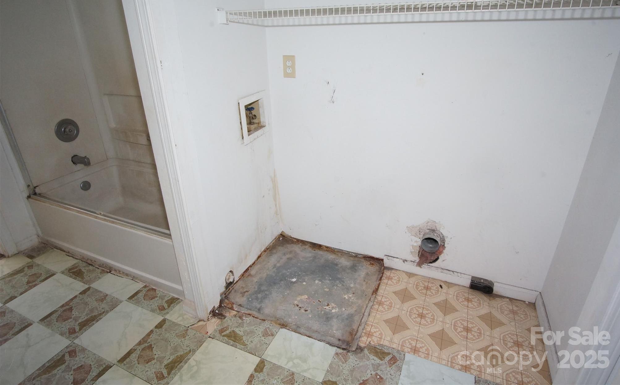 Photo #12