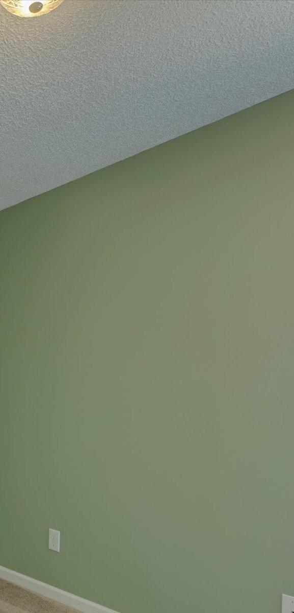 Photo #24