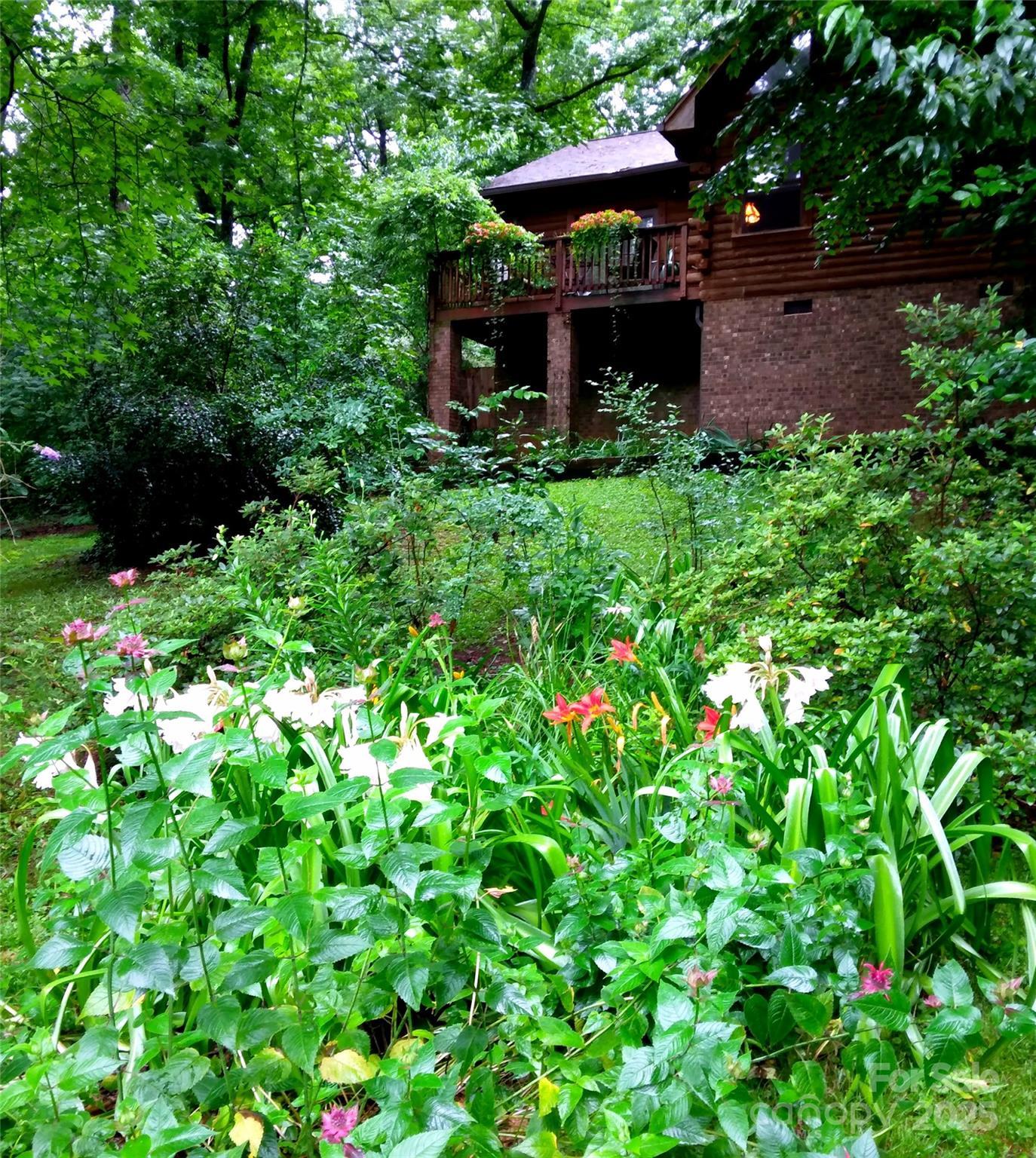Photo #2