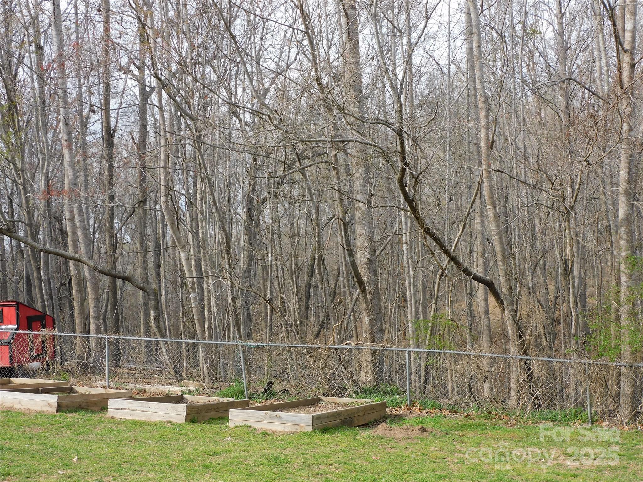 Photo #24