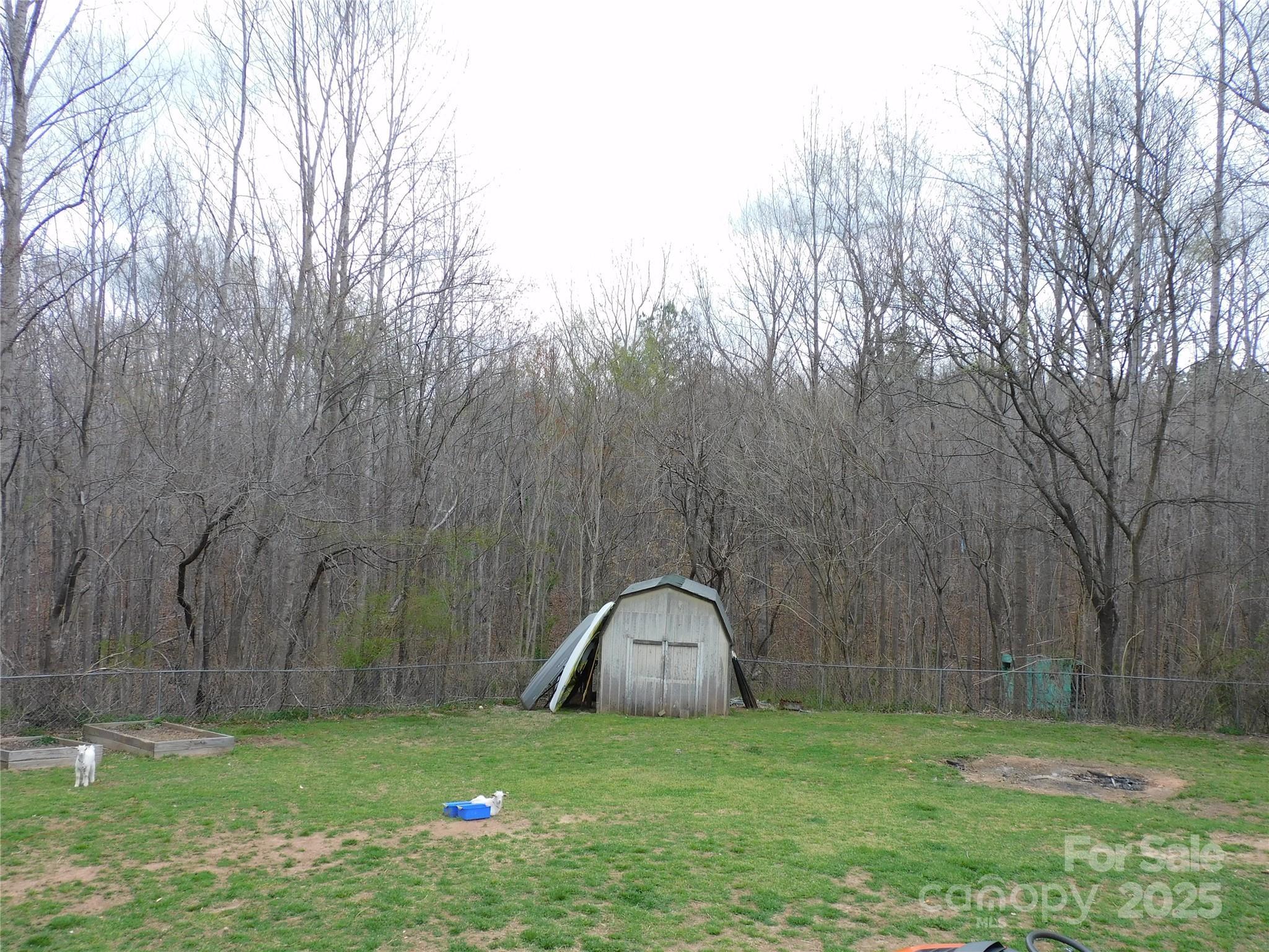 Photo #29