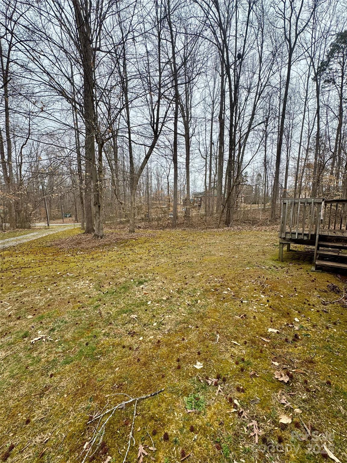Photo #3