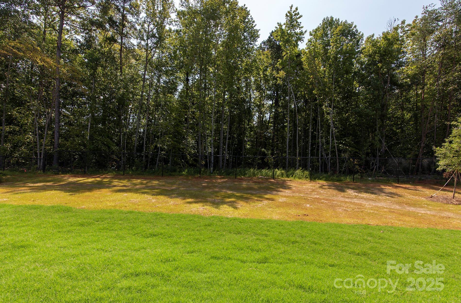 Photo #23